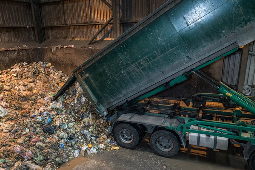 Food Waste Pile