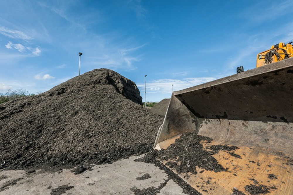 Compost Pile